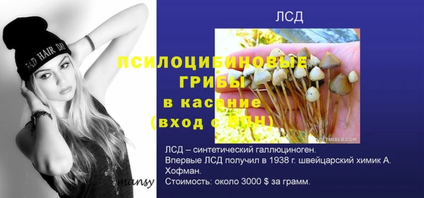 винт Армянск