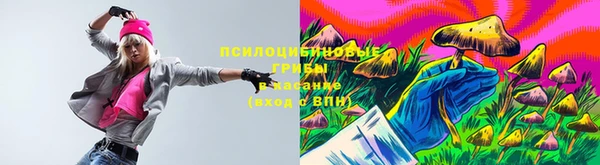 мяу мяу мука Аркадак